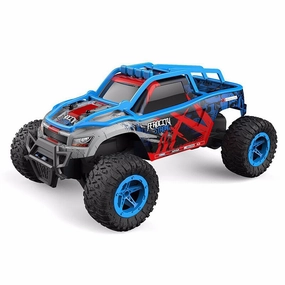 2.4Ghz Remote Controller Race Car Competition Storm Riders Pionner (RTR) 27cm