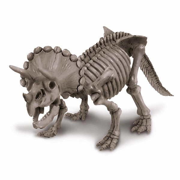 4M Kidz Labs / Triceratops Skeleton Excav Kit