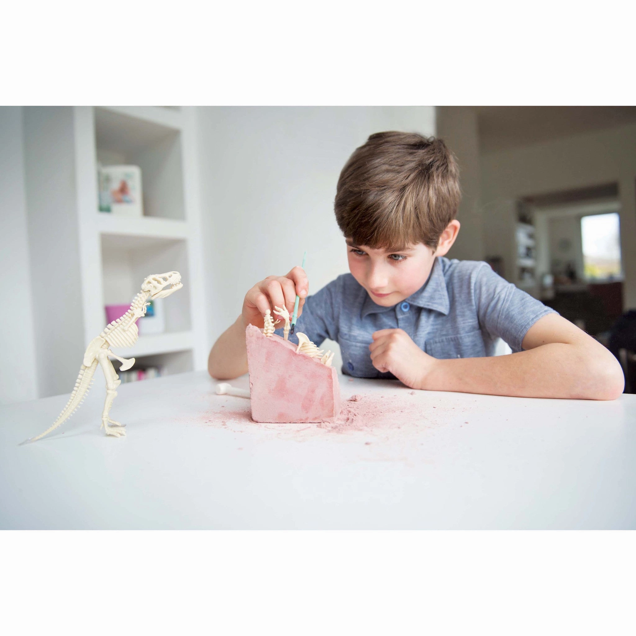 4M Kidz Labs / Tyrannosaurus Rex Kit