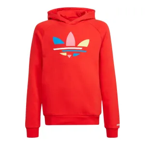 adidas Big Kids' Adicolor Hoodie Adidas