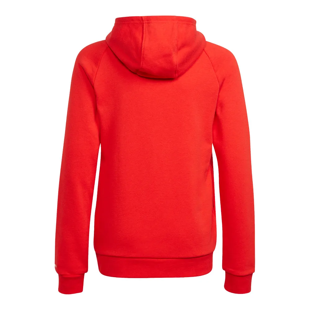 adidas Big Kids' Adicolor Hoodie Adidas