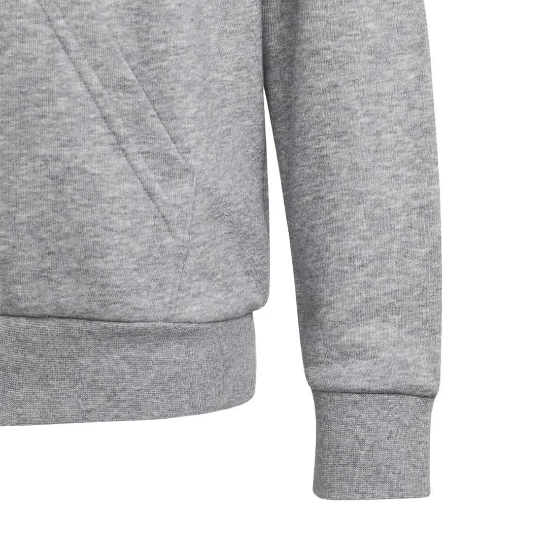 adidas - Kids' (Junior) Big Logo Essential Cotton Hoodie (IC6835)