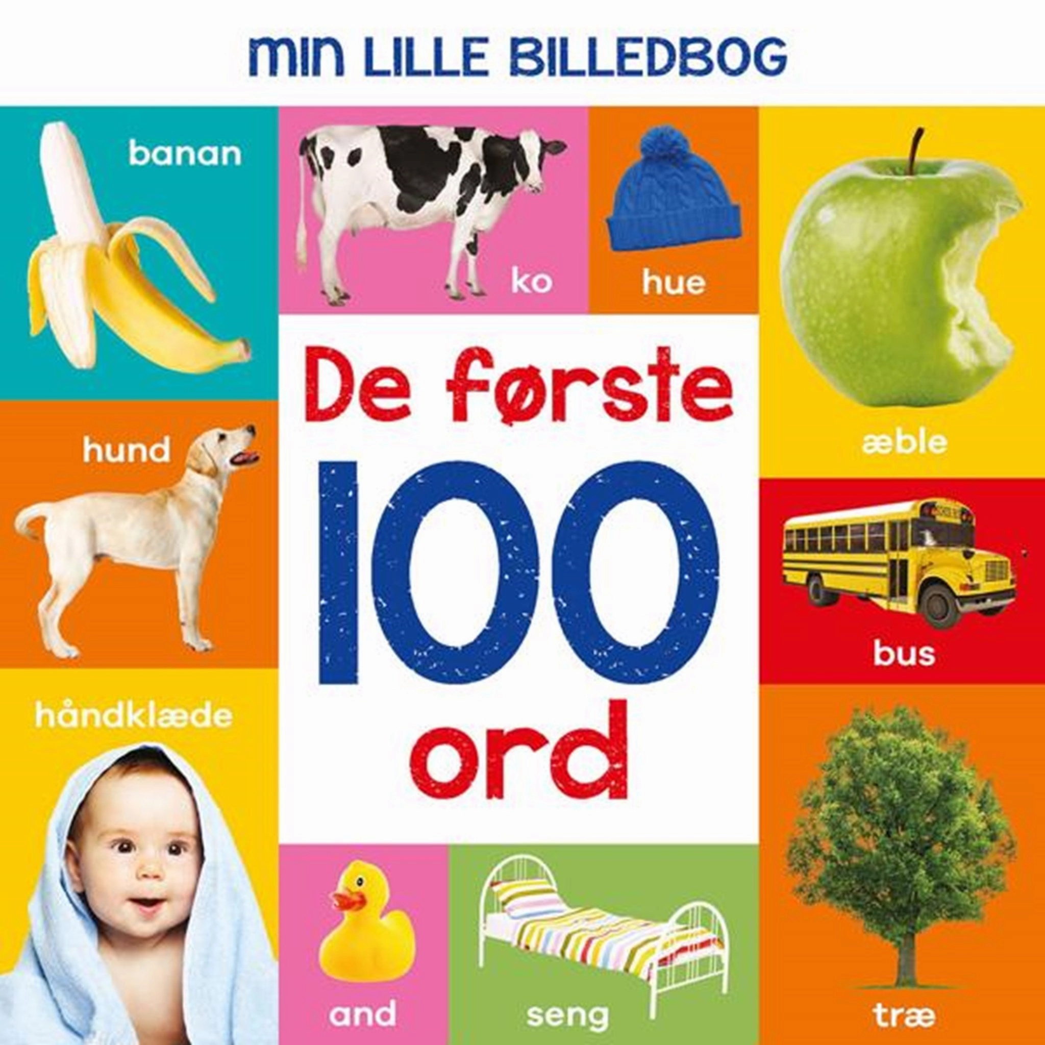 Alvilda Min Lille Billedebog - De Frste 100 Ord