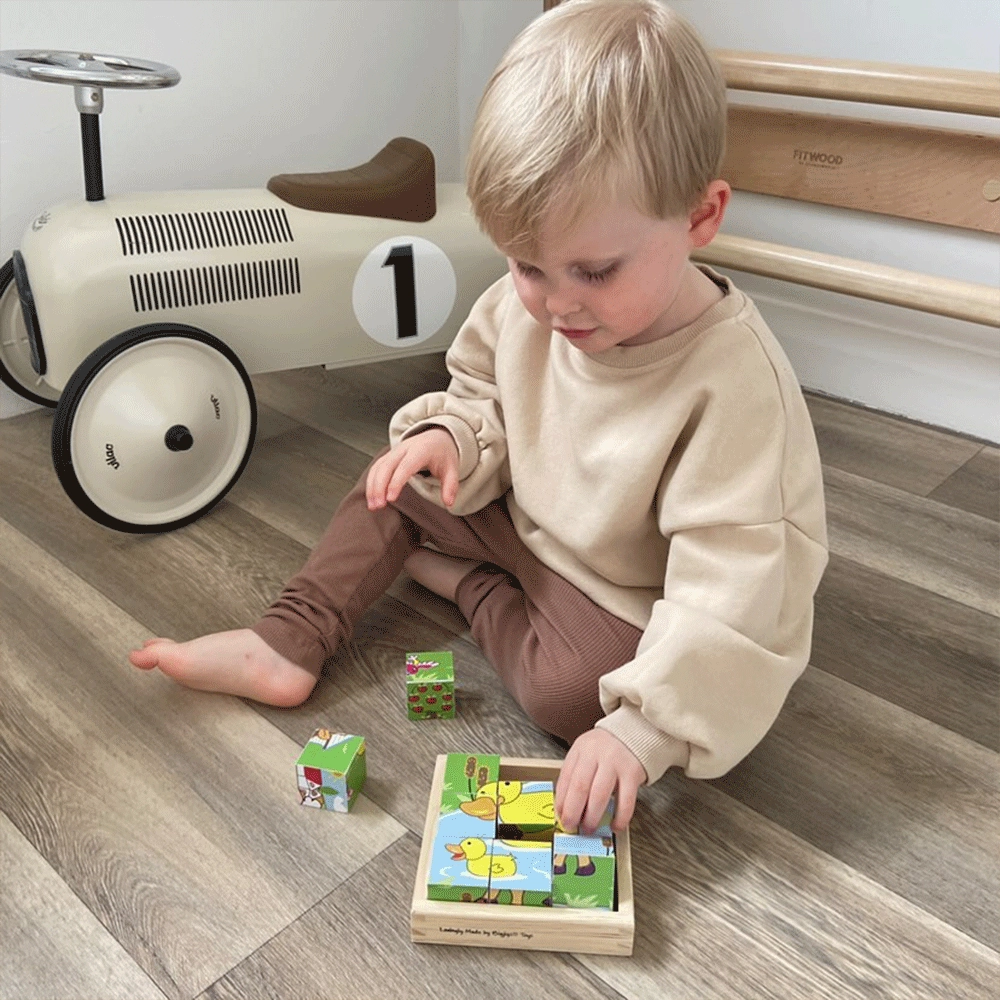 Animal Cube Puzzle