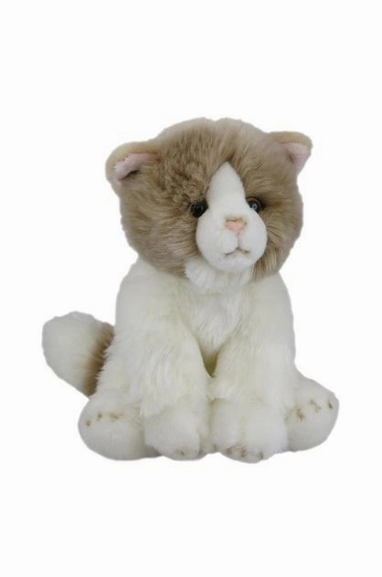 Antics  Beige and White Cat