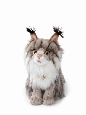 B.T. Chaps - Nancy the Norwegian Forest Cat
