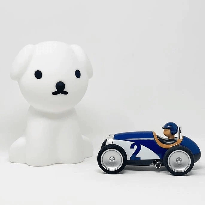 Baghera Racing Car