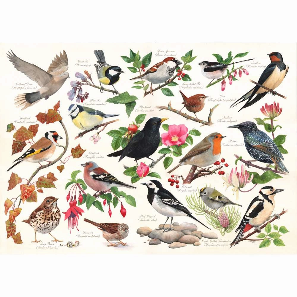 Birds In My Garden - 1000 Piece Jigsaw Puzzle