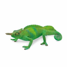 Cameroon Sailfin Chameleon