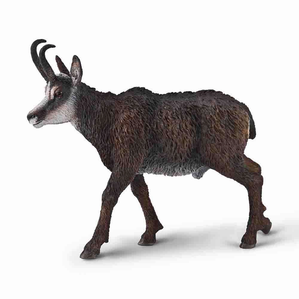 Chamois