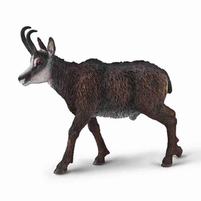 Chamois