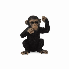 Chimpanzee Cub Thinking