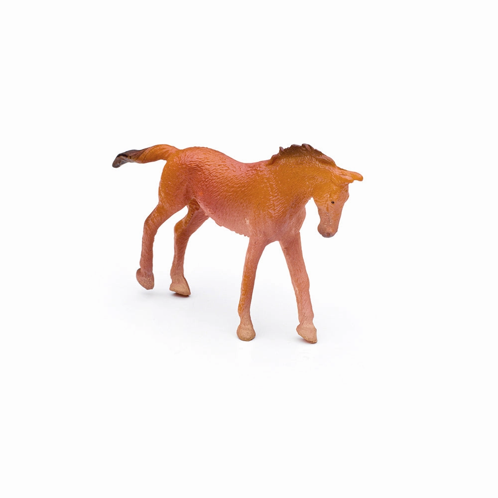 CollectA Box of Mini Horses Box