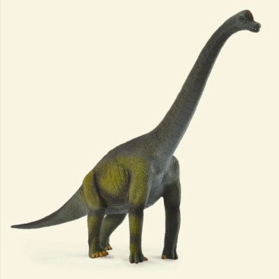 Collecta Brachiosaurus Figurine