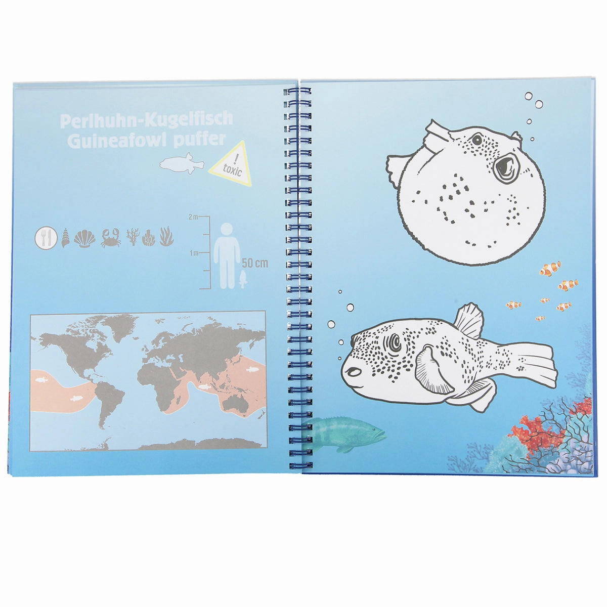 Depesche Dino World Colouring Book Set Underwater