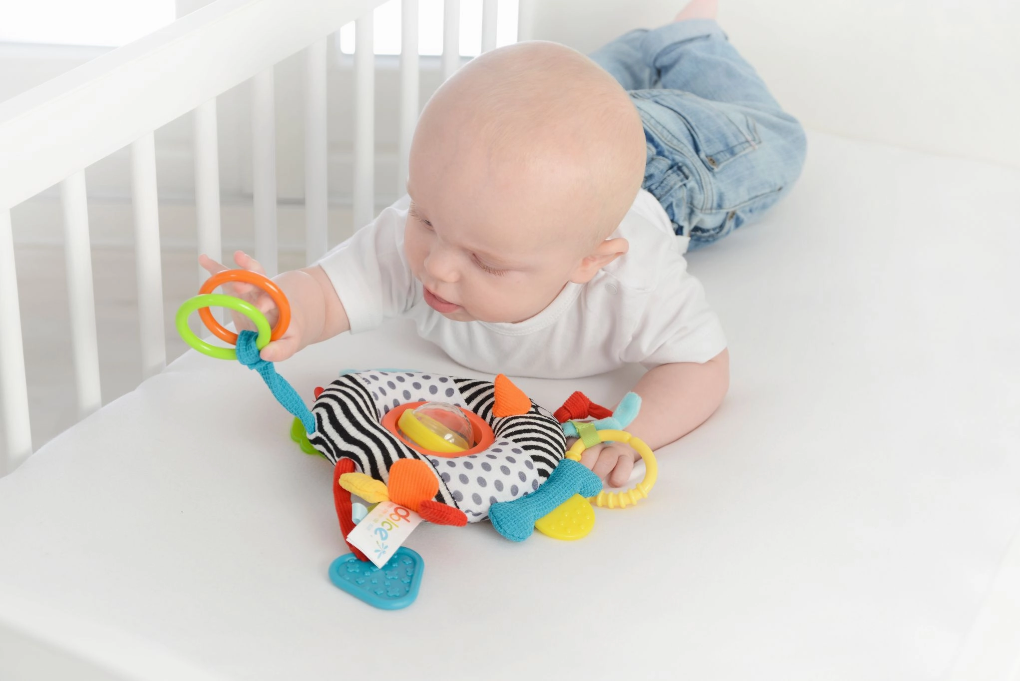 Dolce Toys Hanging Travel Bird