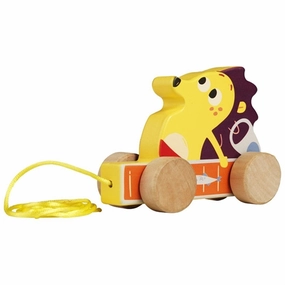 DR Brste Pull Toy