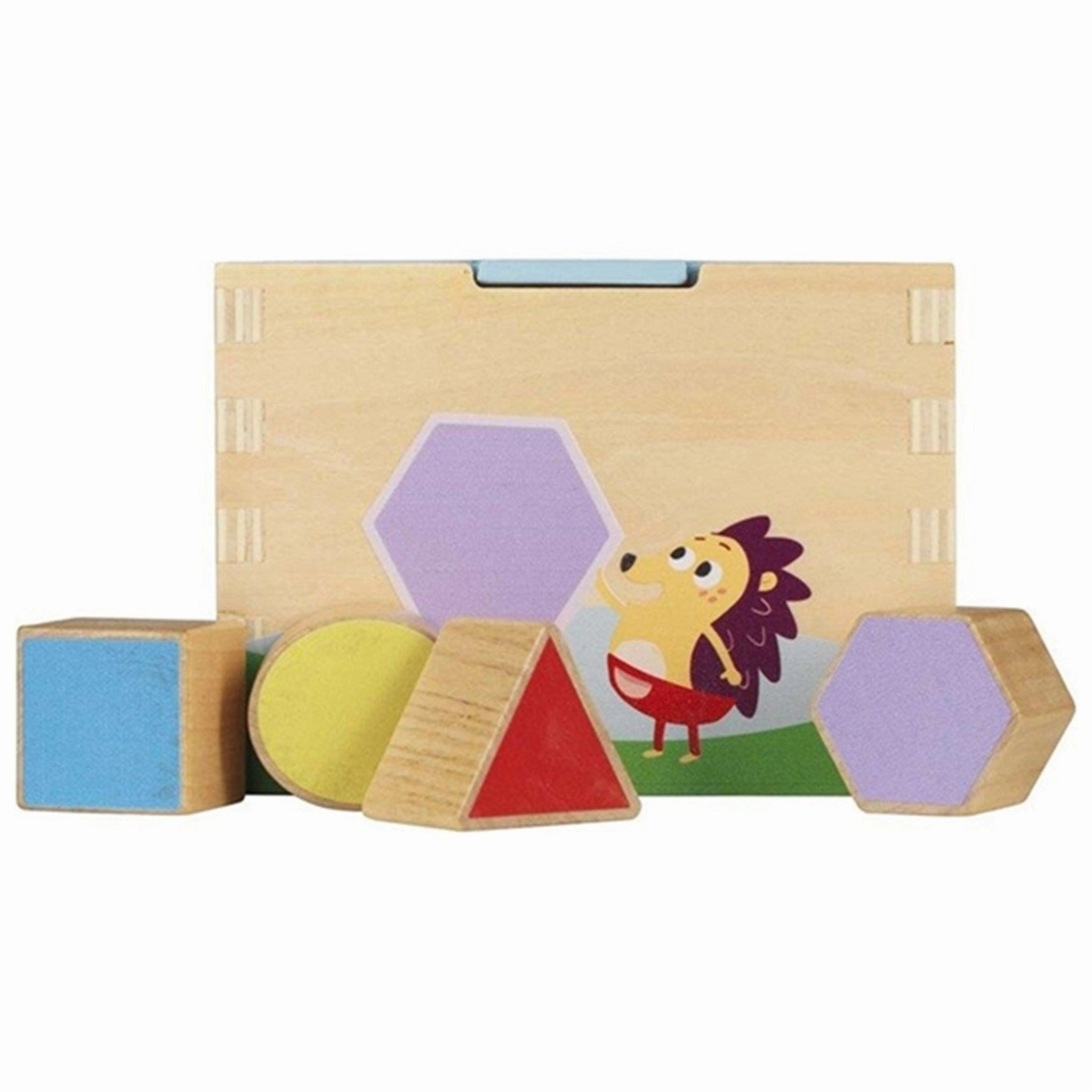 DR Brste Shape Sorters
