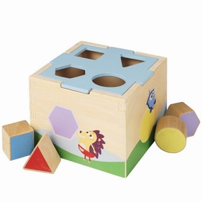 DR Brste Shape Sorters