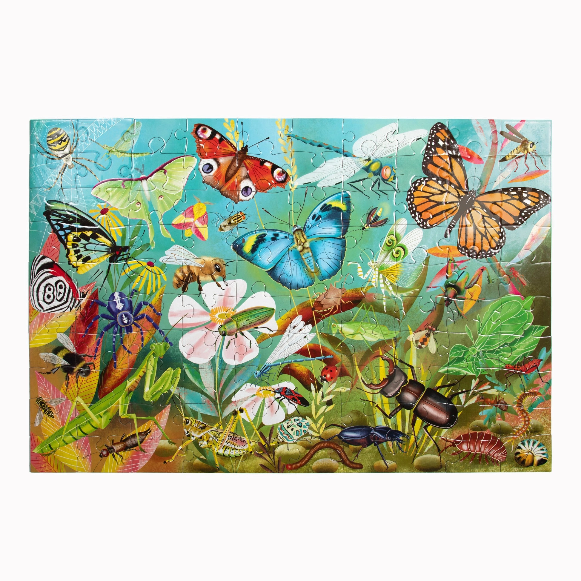eeBoo Love of Bugs 100pc Puzzle