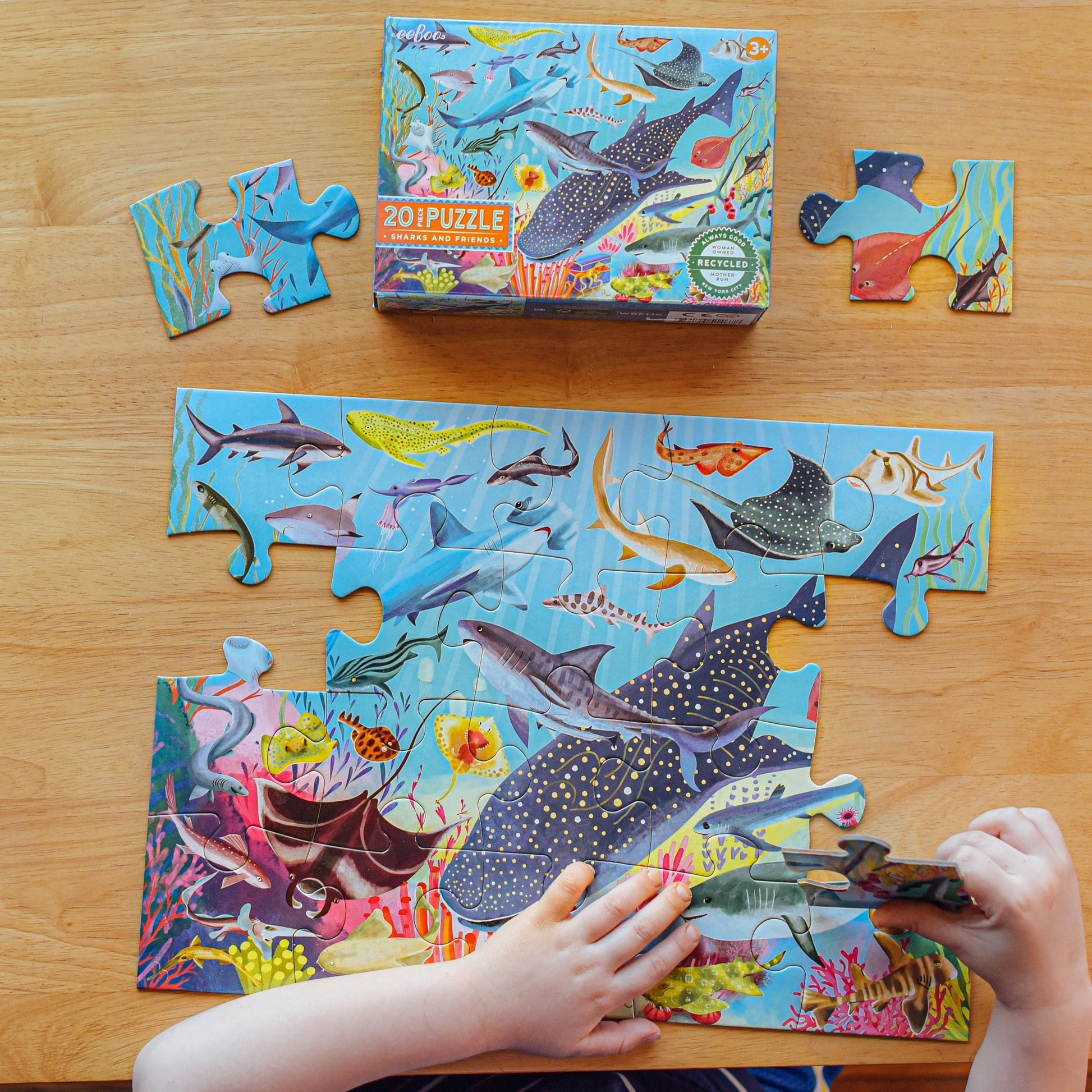 eeBoo Sharks and Friends 20pc Puzzle