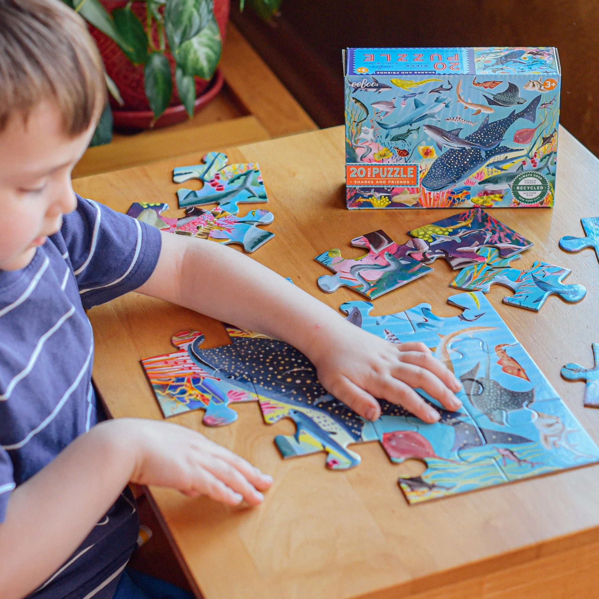 eeBoo Sharks and Friends 20pc Puzzle
