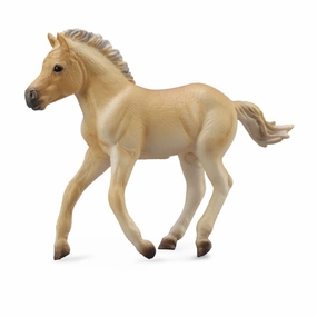 Fjord Foal Brown Dun