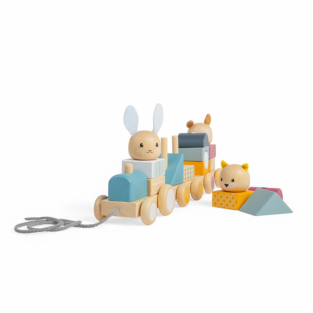 FSC Certified Activity Pull Along Train