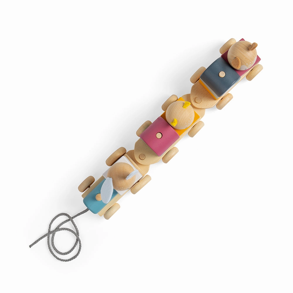 FSC Certified Activity Pull Along Train