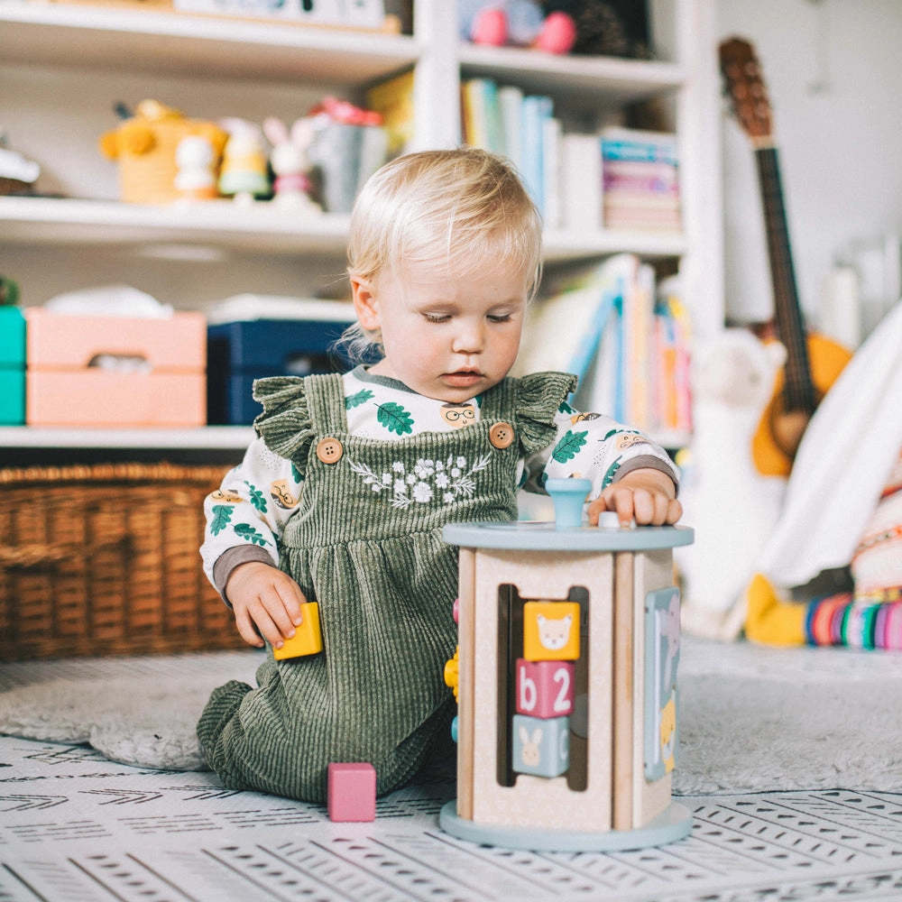 FSC Certified Rolling Activity Sorter
