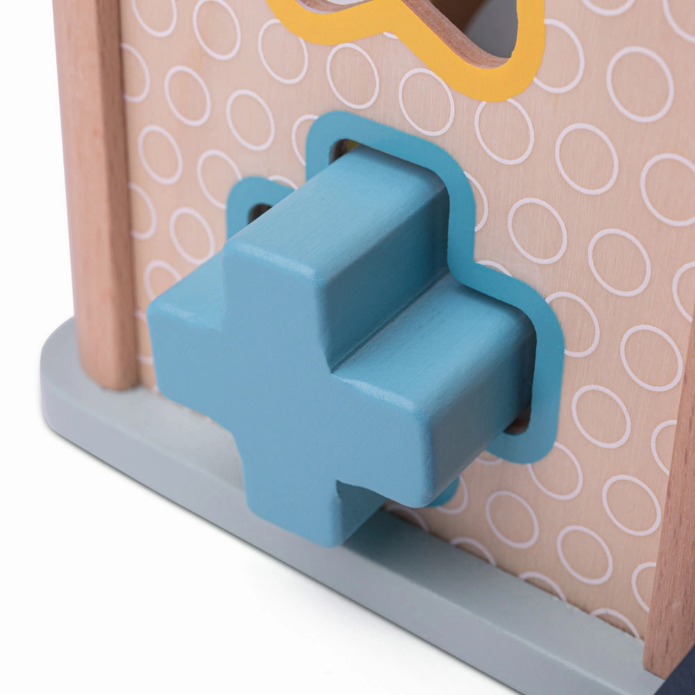 FSC Certified Shape Sorter