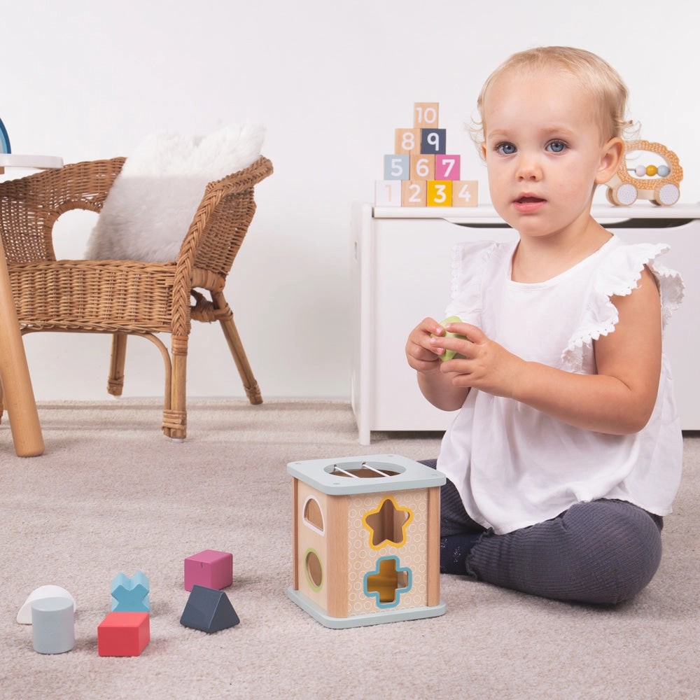 FSC Certified Shape Sorter