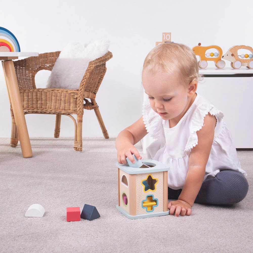FSC Certified Shape Sorter