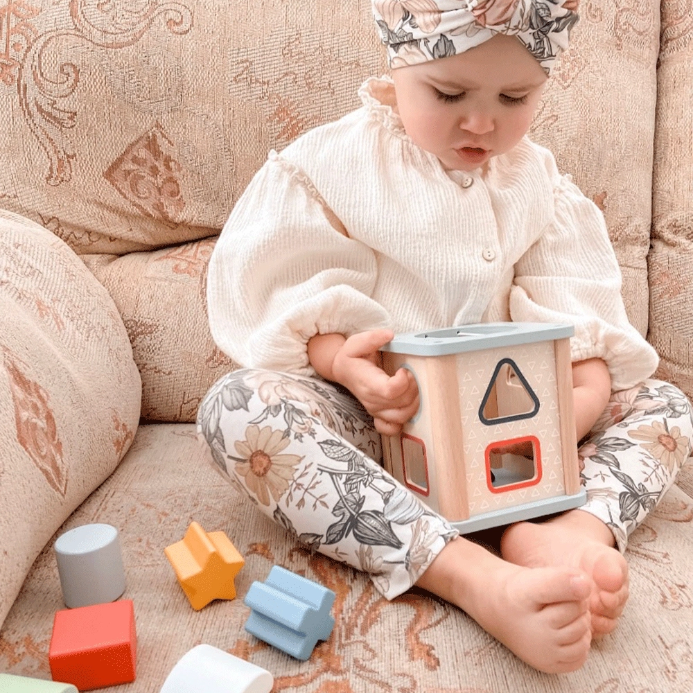 FSC Certified Shape Sorter