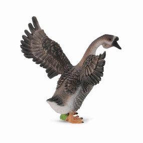 Gander