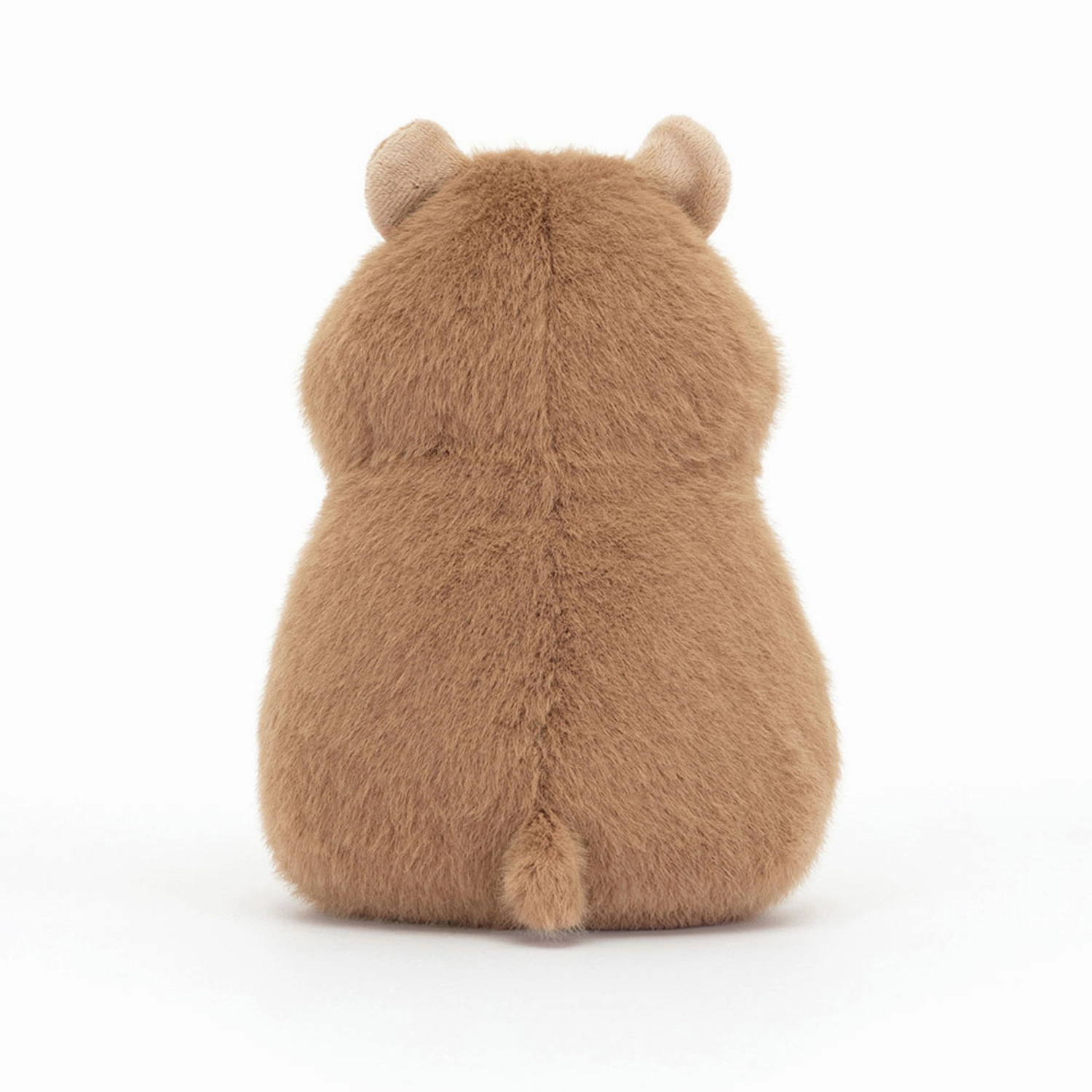Gordy Guinea Pig