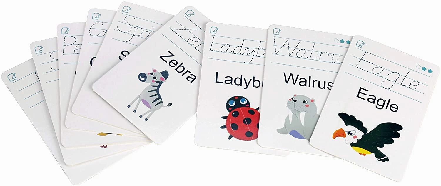 Handwriting-Word  cards Write & Wipe
