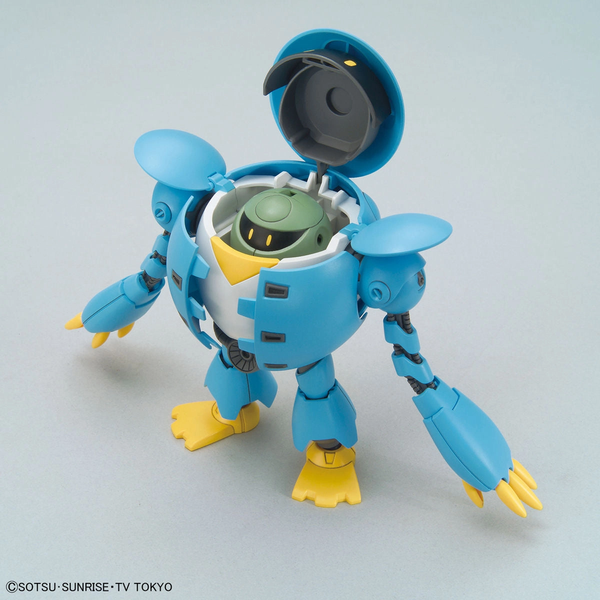 HGBD 04 MOMOKAPOOL