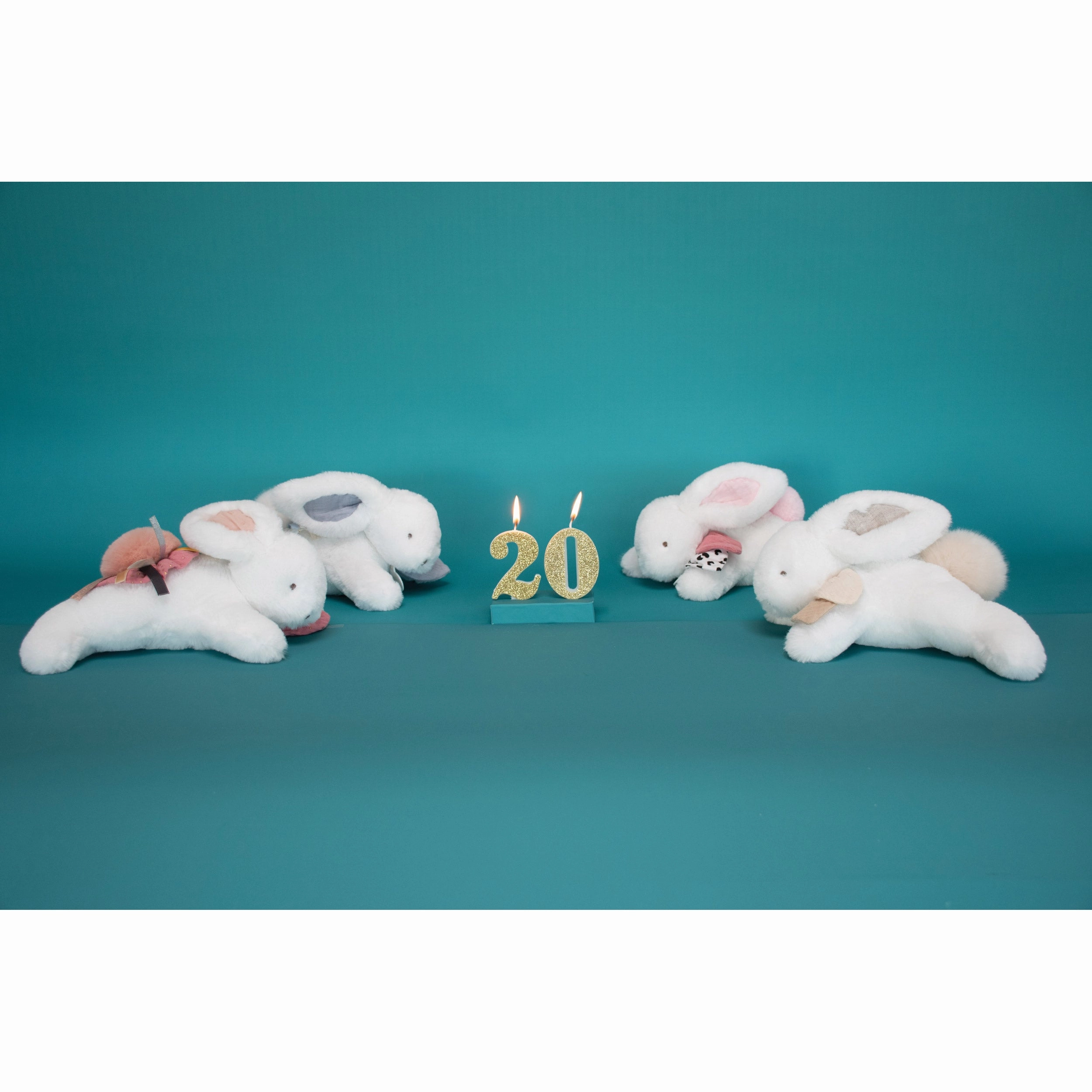 Histoire d'Ours Happy Wild - Pantin