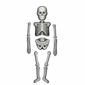 House of Marbles Human Skeleton Make & Decorate Kit