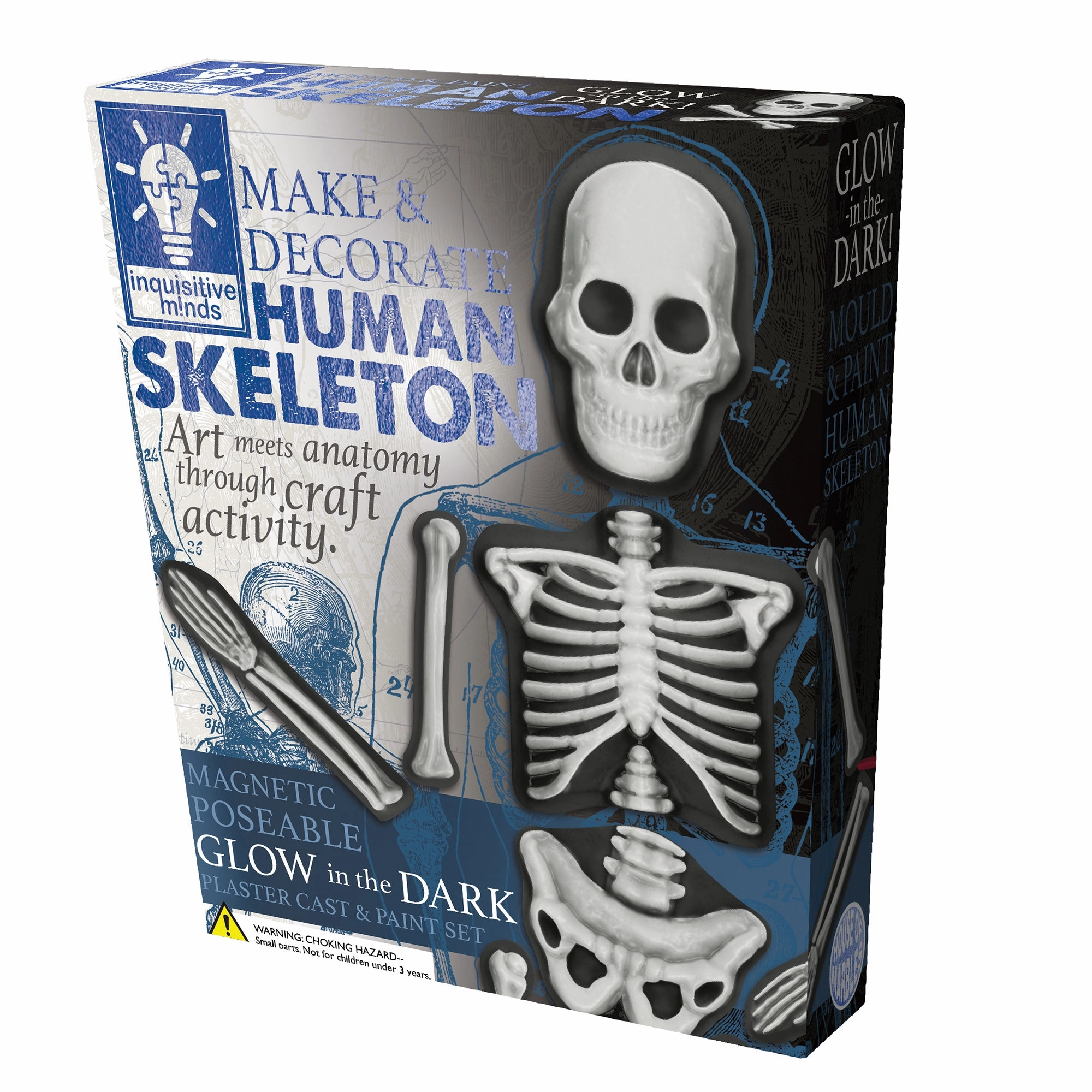 House of Marbles Human Skeleton Make & Decorate Kit