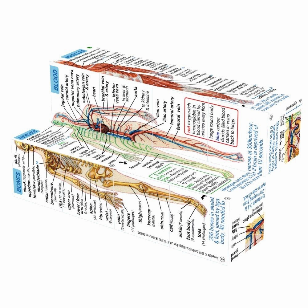 Human Body Systems and Statistics Cubebook