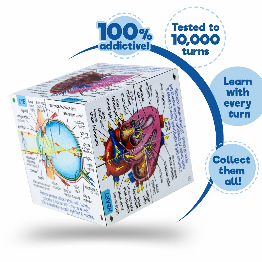 Human Body Systems and Statistics Cubebook