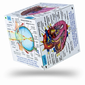 Human Body Systems and Statistics Cubebook