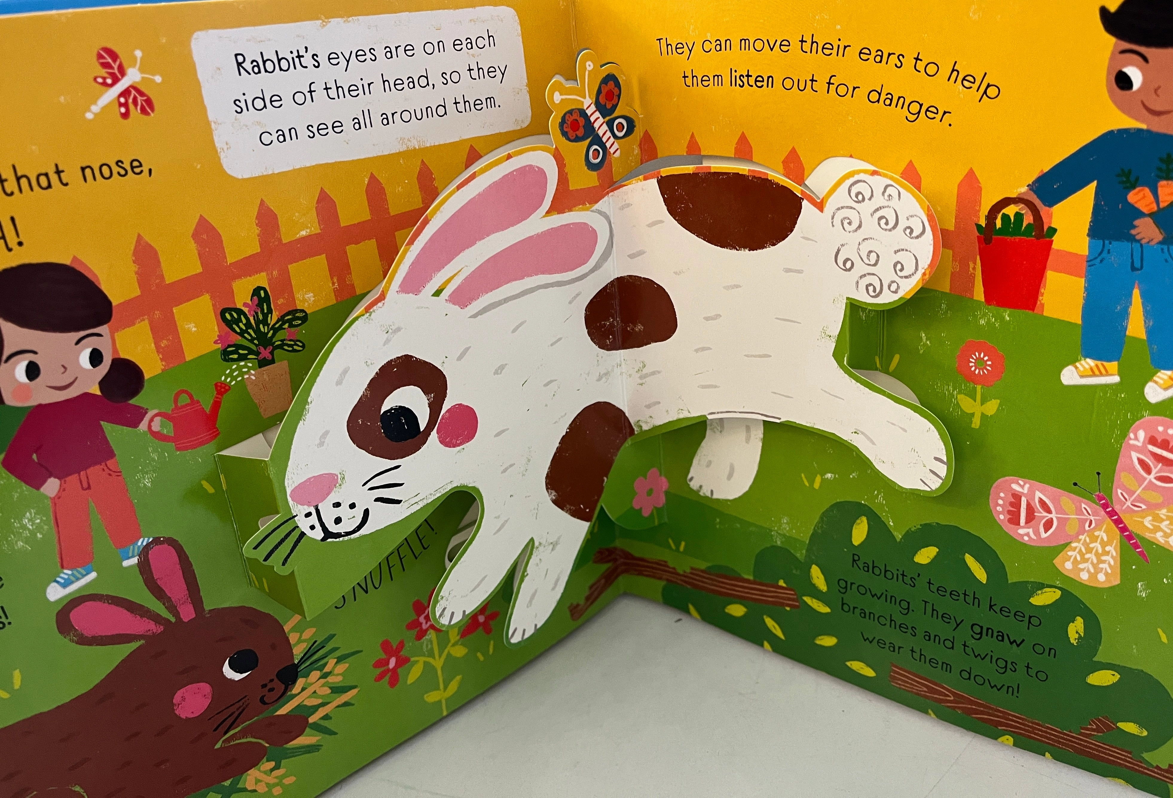 I love pets poptastic pop up book