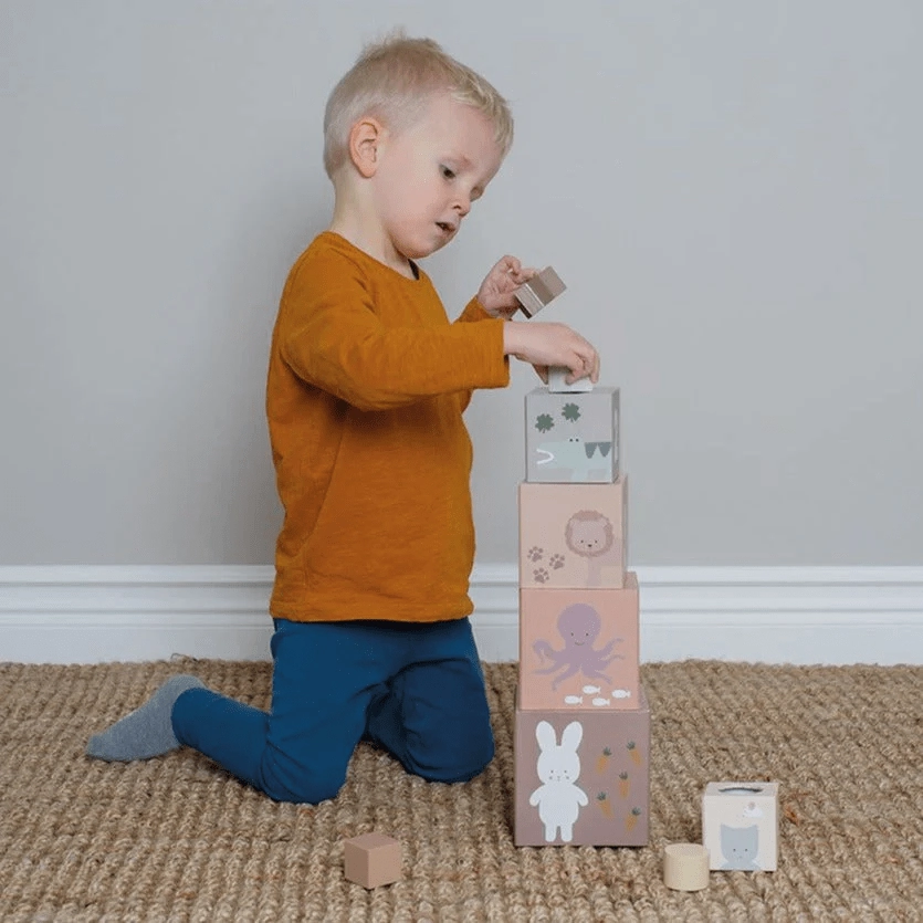 JaBaDaBaDo Stacking and Sorting Cubes Nature 1-5