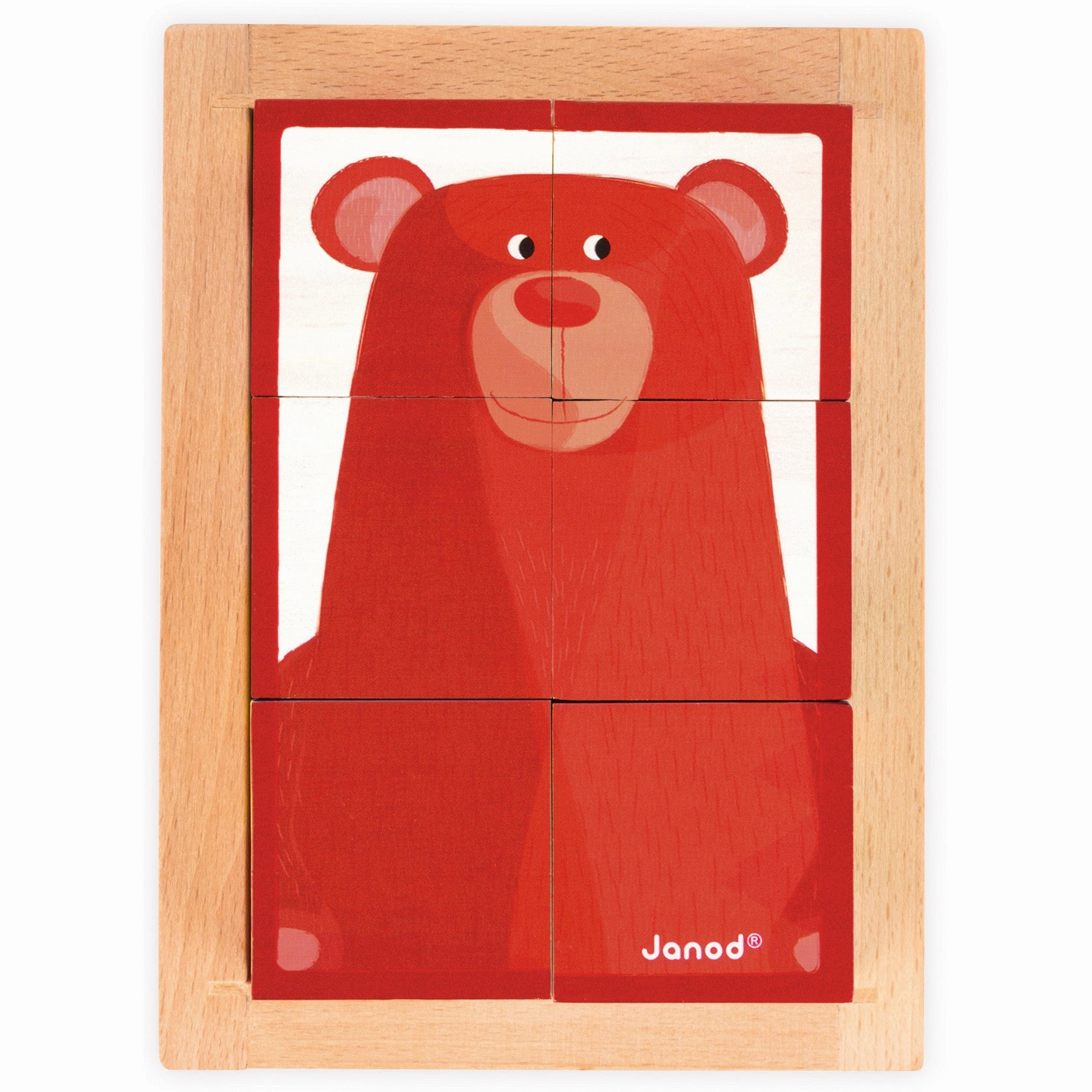 Janod 6 Forest Blocks in Wooden Box