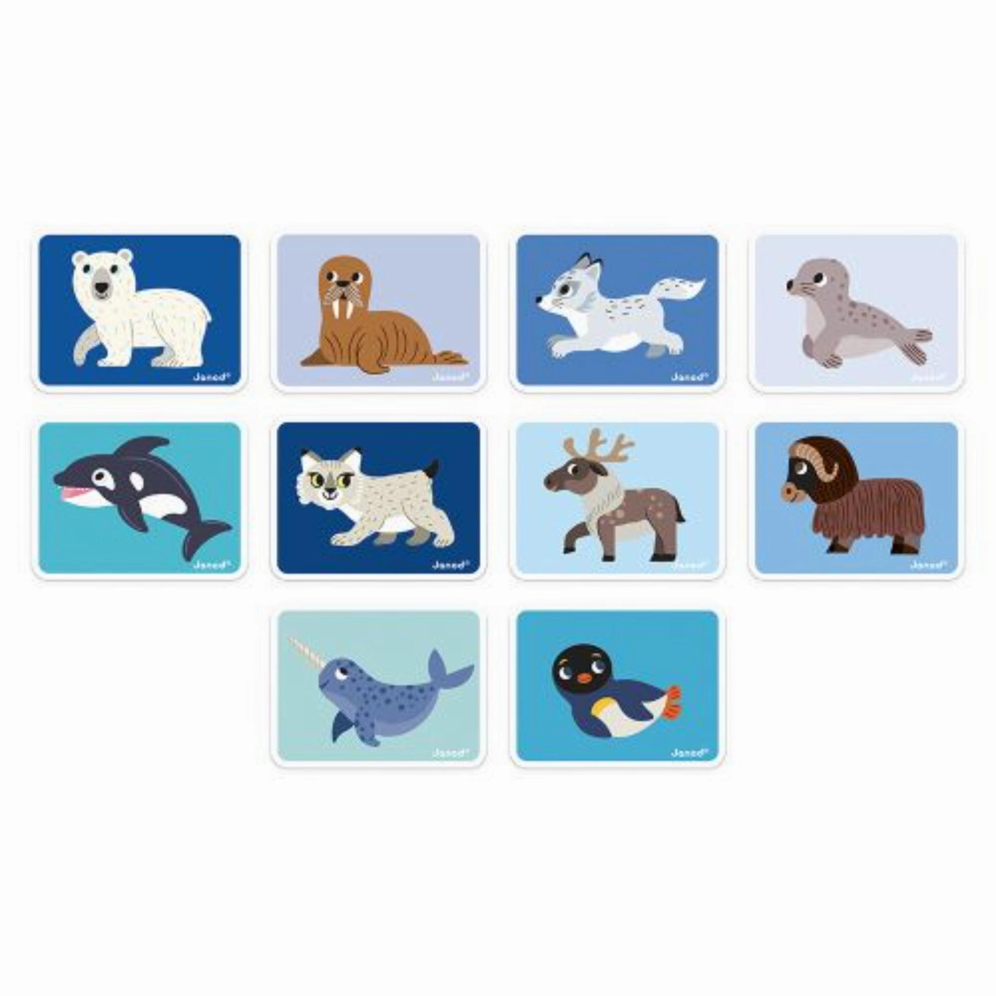 Janod Magnetibook Polar Animals