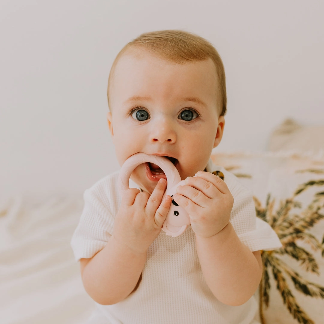 Jellystone Designs Koala Teether - Joey Blue