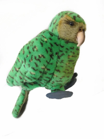 Kakapo  with sound
